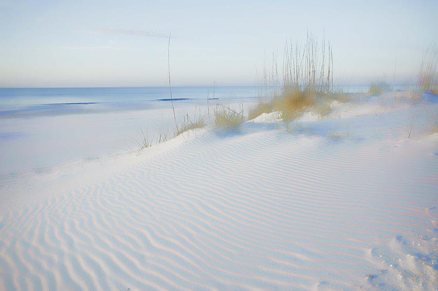Soft Sandy Beach Digital Art by Michael Thomas