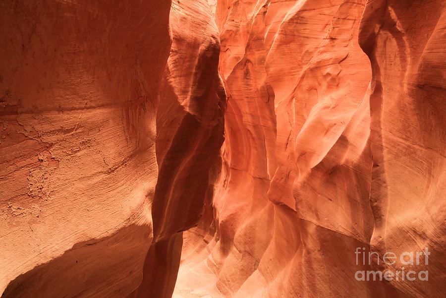 Soft Sculpted Sandstone Walls Photograph by Adam Jewell