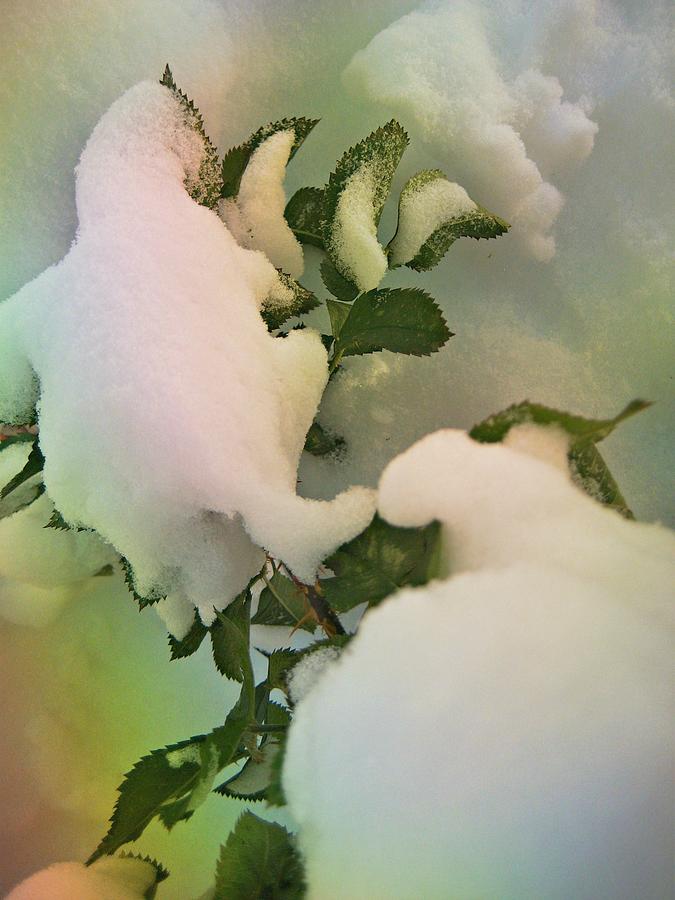 Winter Photograph - Soft Snow Forms 4 by Shirley Sirois