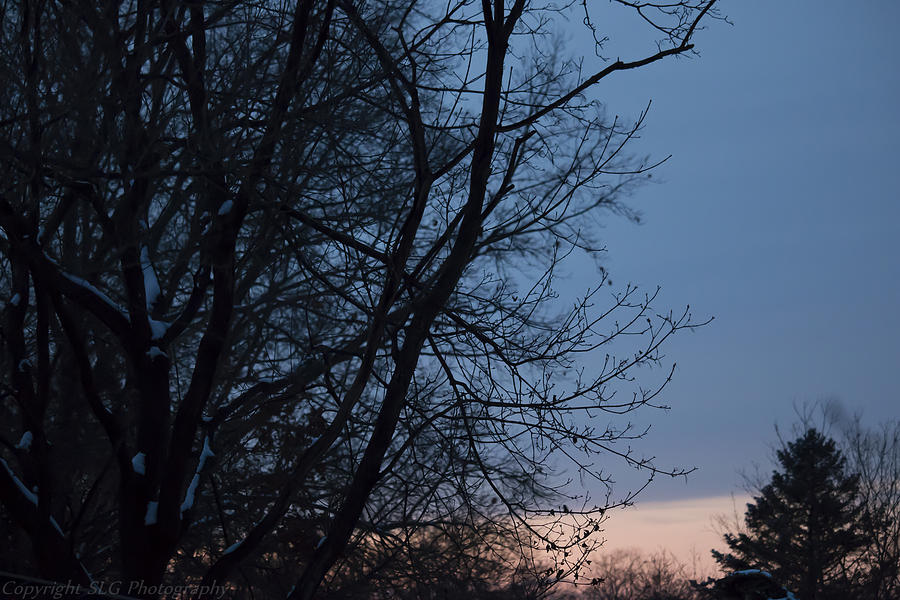 Light Photograph - Soft Sunset by Stacie Goodloe Light Photograph - Soft Sunset by Stacie Goodloe
