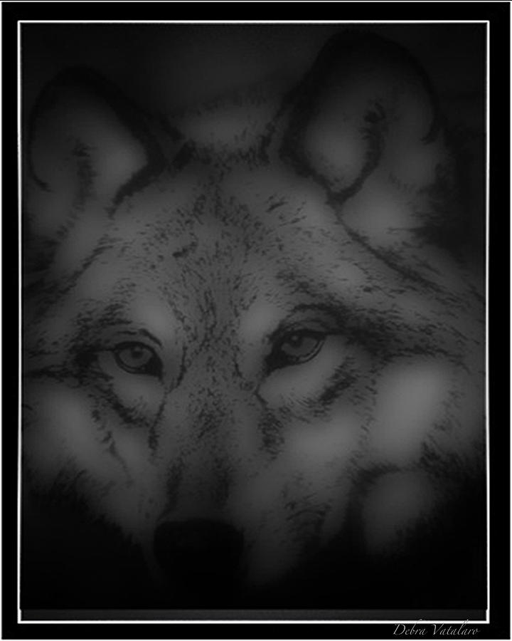 Soft Touch 3 Design Wolf Photograph by Debra     Vatalaro