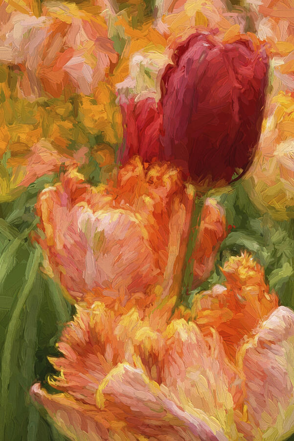 Soft Tulips Photograph by Paul W Faust -  Impressions of Light