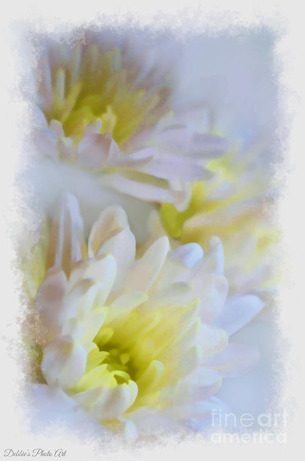 Soft white Chrysanthemums - Digital Paint Photograph by Debbie Portwood
