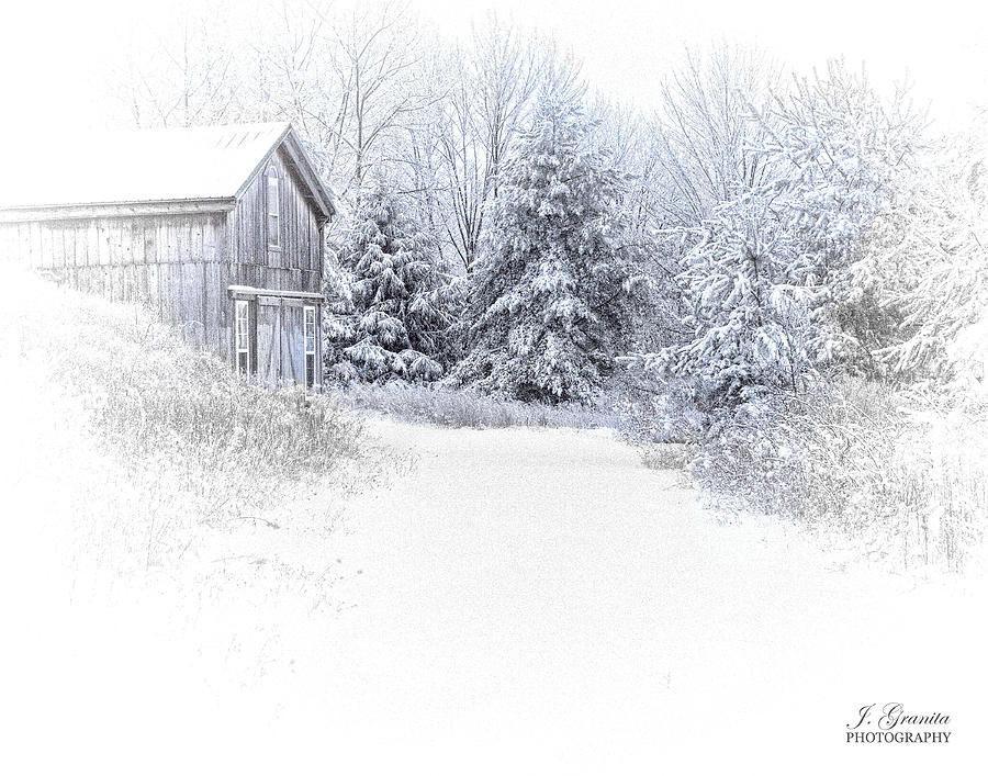 Soft Winter Scene Photograph by Joe Granita