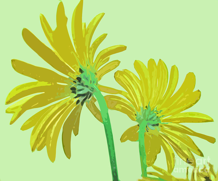 Flower Photograph - Soft Yellow and Green Flowers From Behind by Adri Turner