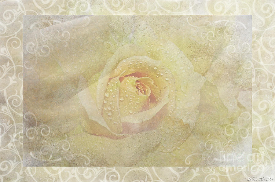 Soft Yellow Rose Photoart Photograph by Debbie Portwood