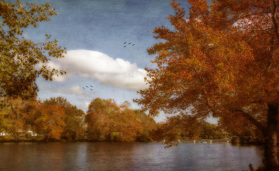 Softly Autumn Photograph by Cathy Kovarik