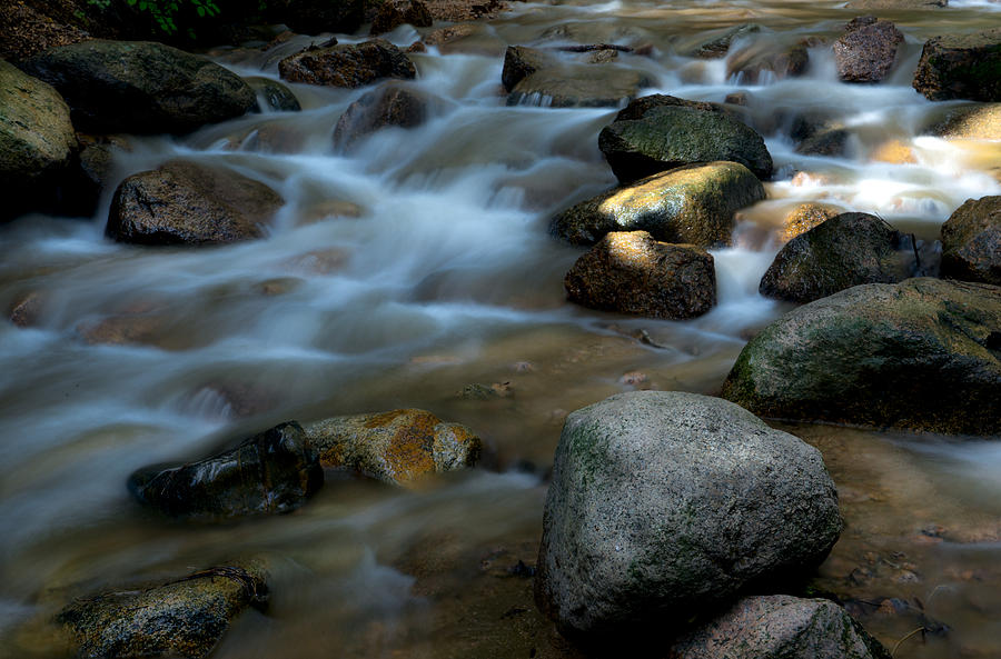 Softly Flowing Photograph by Tim Reaves