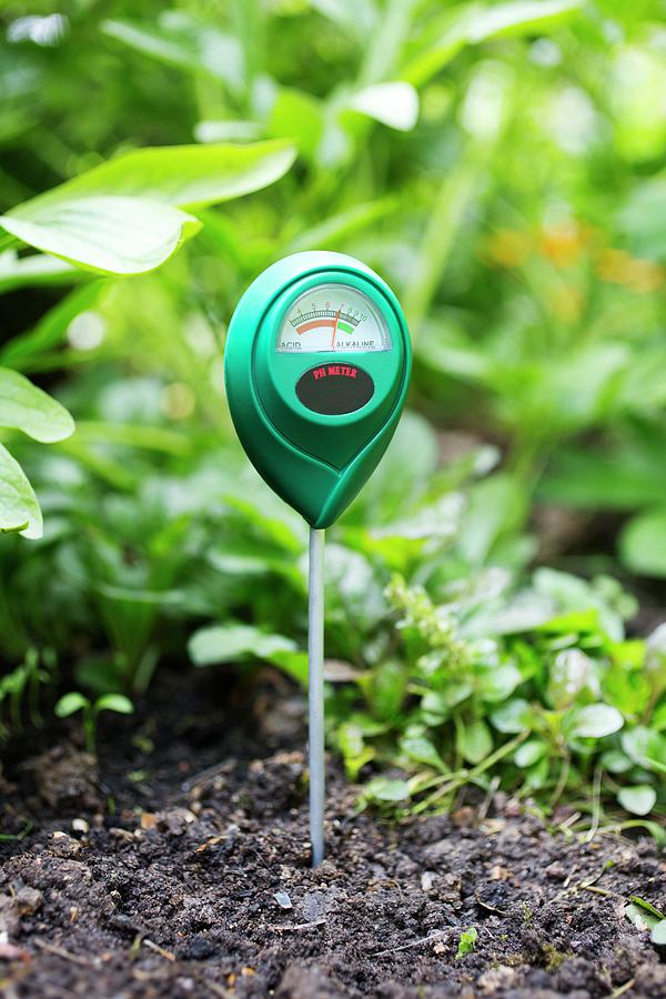 Soil Ph Meter Photograph by Science Photo Library