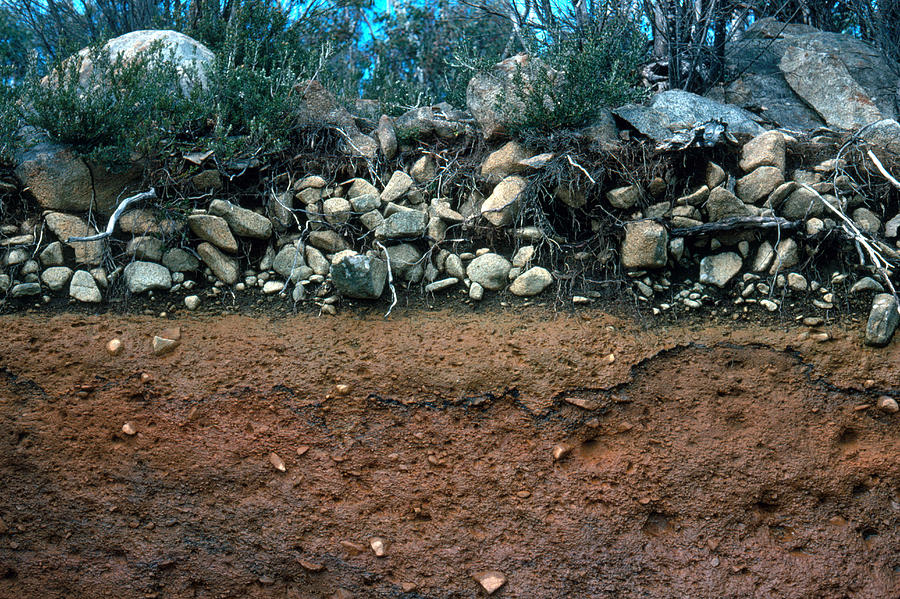 Soil Profile Photograph by A.b. Joyce