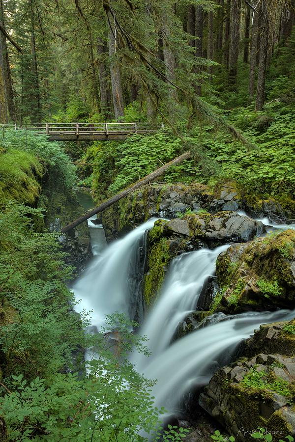 Sol Duc Falls Photograph by Angie Precure - Fine Art America