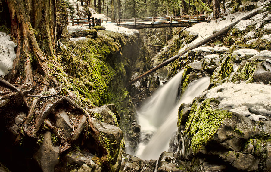 Sol Duc Falls Photograph by Heather Applegate