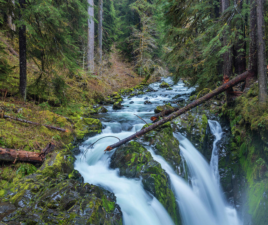 Sol Duc Falls In Olympic National Park Photograph by Chuck Haney - Fine ...