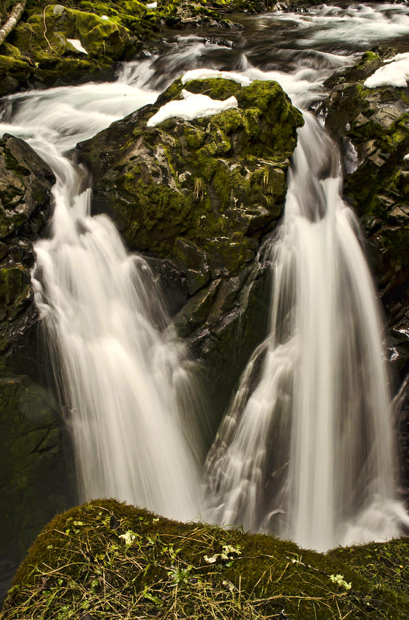 Sol Duc River Cascade Photograph by Heather Applegate