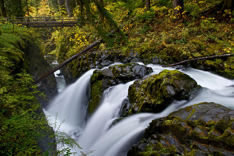 Sol Duc waterfall in Olympic NP Photograph by Hisao Mogi - Fine Art America