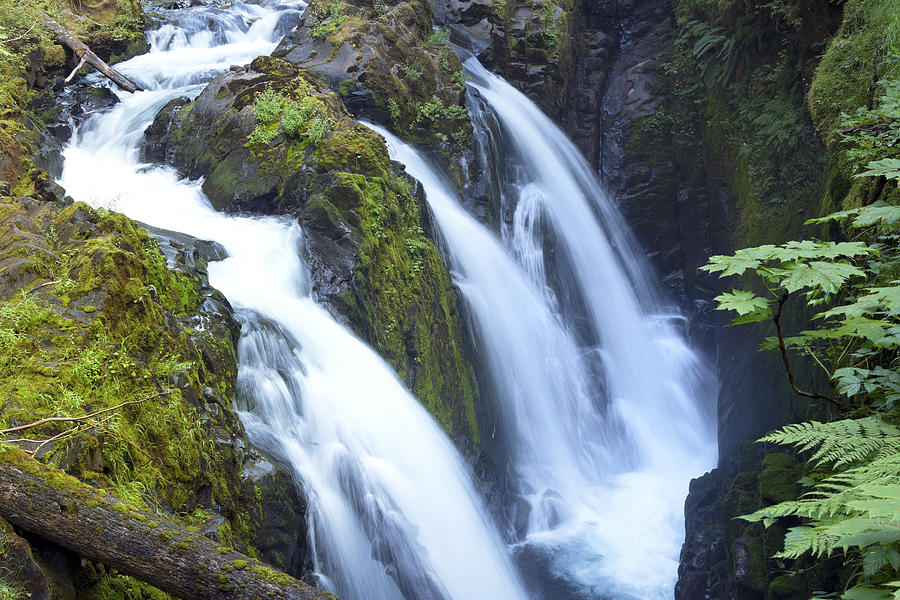 Olympic National Park Photograph - Sol Duc Waterfalls in Olympic National Park by King Wu