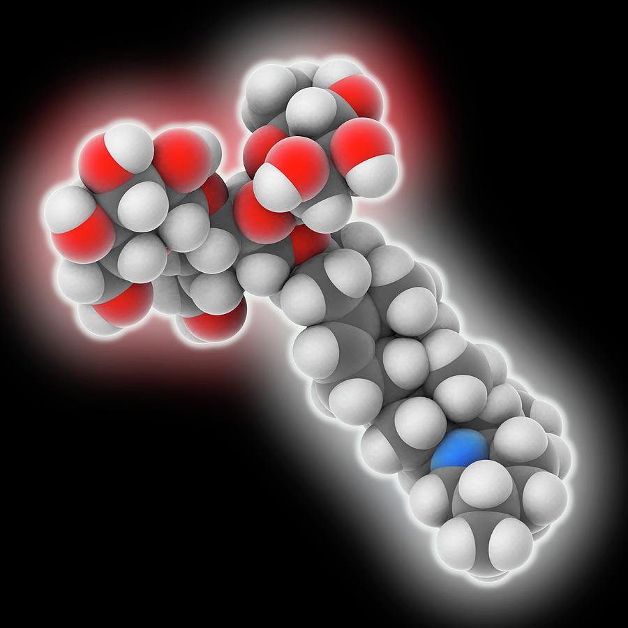 Black Background Photograph - Solanine Poison Molecule by Laguna Design