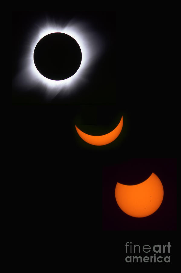 Solar Eclipse Photograph - Solar Eclipse Sequence by Francois Gohier