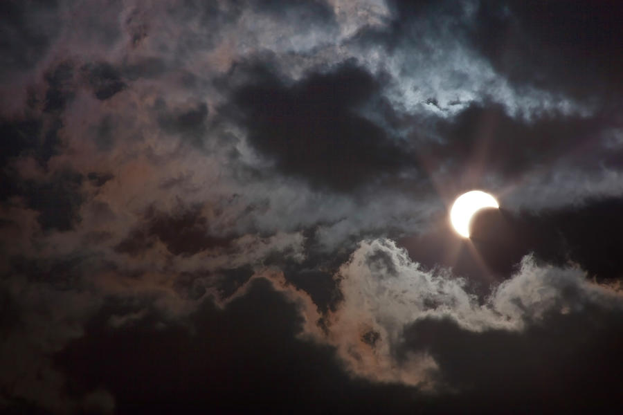 Solar Eclipse Photograph by Stephanie Hager - Hagerphoto