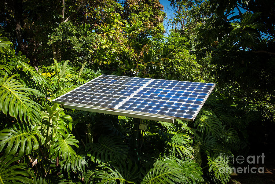 Solar Panel in Jungle Photograph by Blake Webster