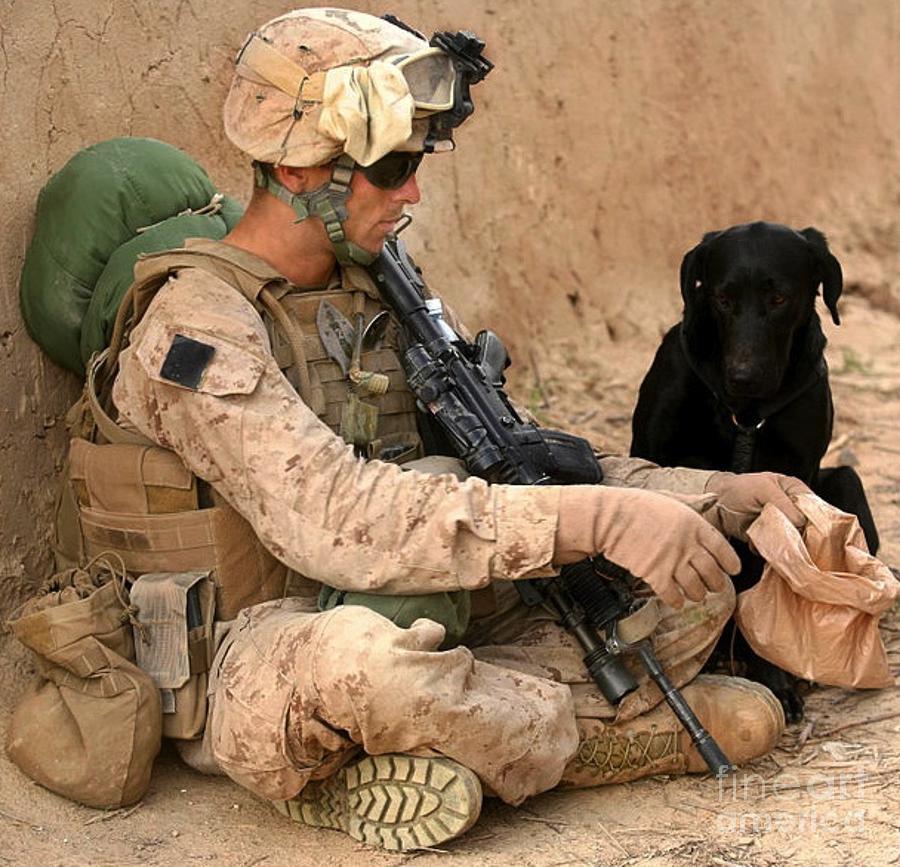 Soldier  and Service Dog Digital Art by Steven  Pipella