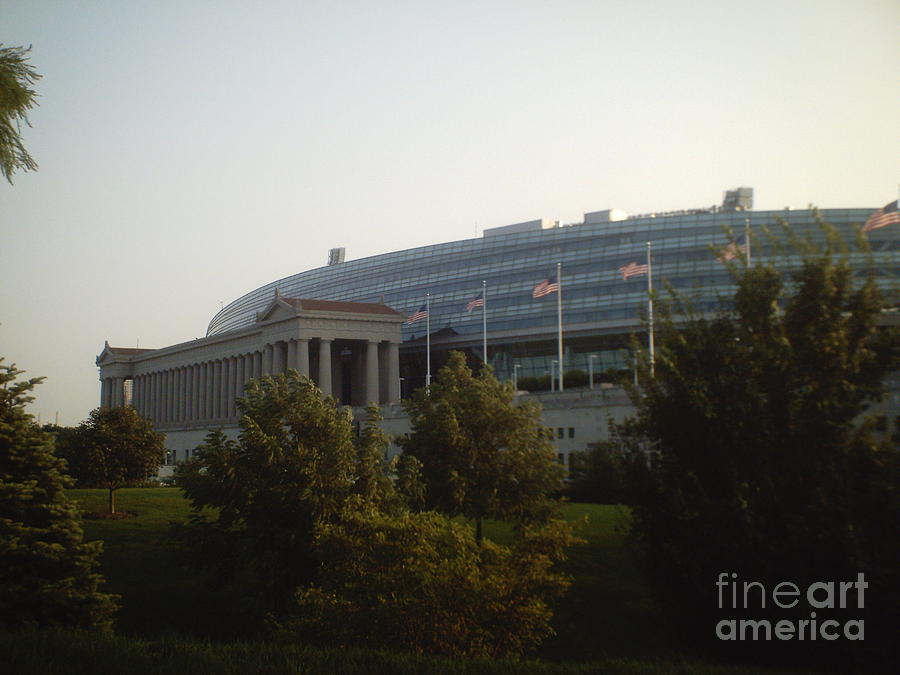 Chicago Bears Photograph - Soldier Field by Alfie Martin