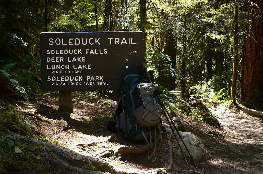 Soleduck Trail Photograph by Ronda Broatch
