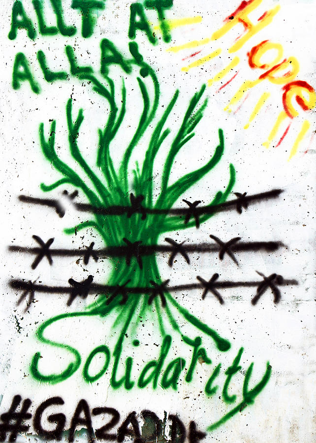 Solidarity Gaza Photograph by Munir Alawi