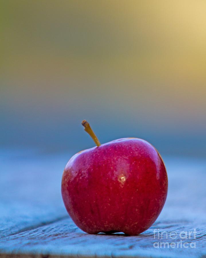 Solitary Apple Photograph by John Harmon