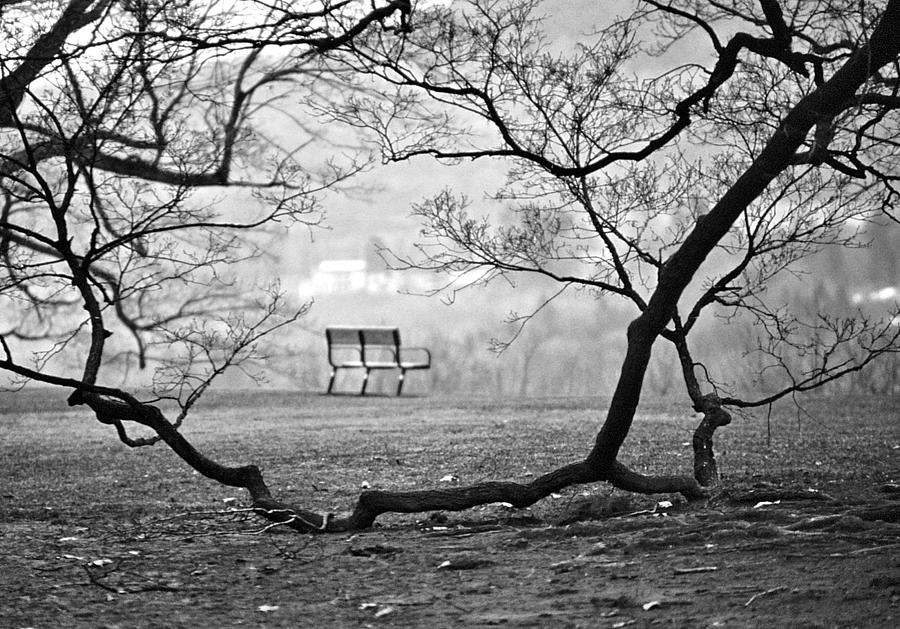 Solitary Bench Photograph by Christopher McKenzie