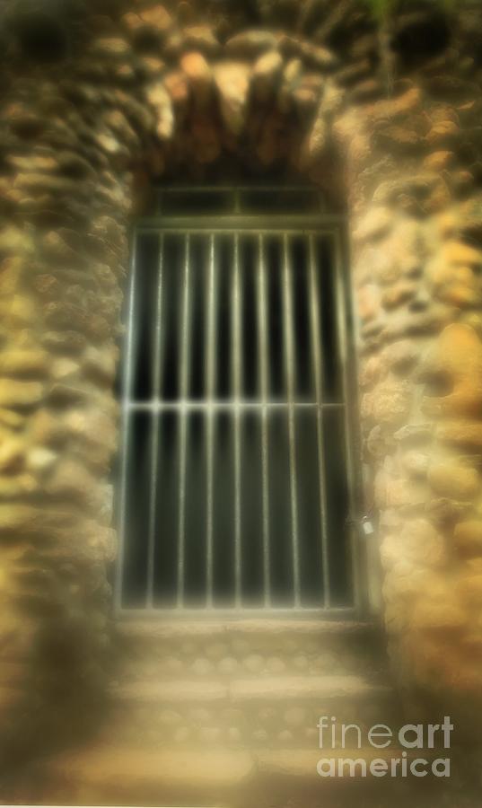 Solitary Confinement Photograph - Solitary Confinement by Inspired Nature Photography Fine Art Photography