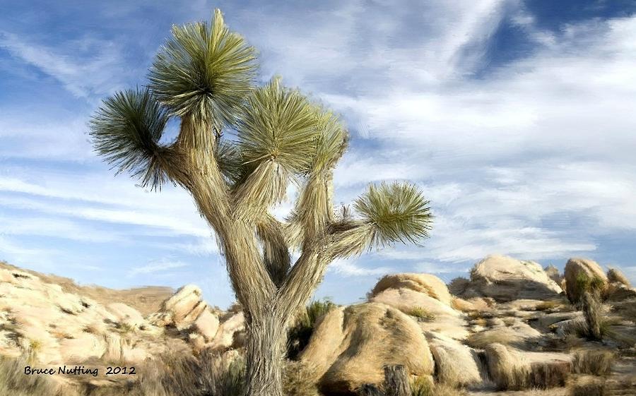 Solitary Joshua Tree Painting by Bruce Nutting