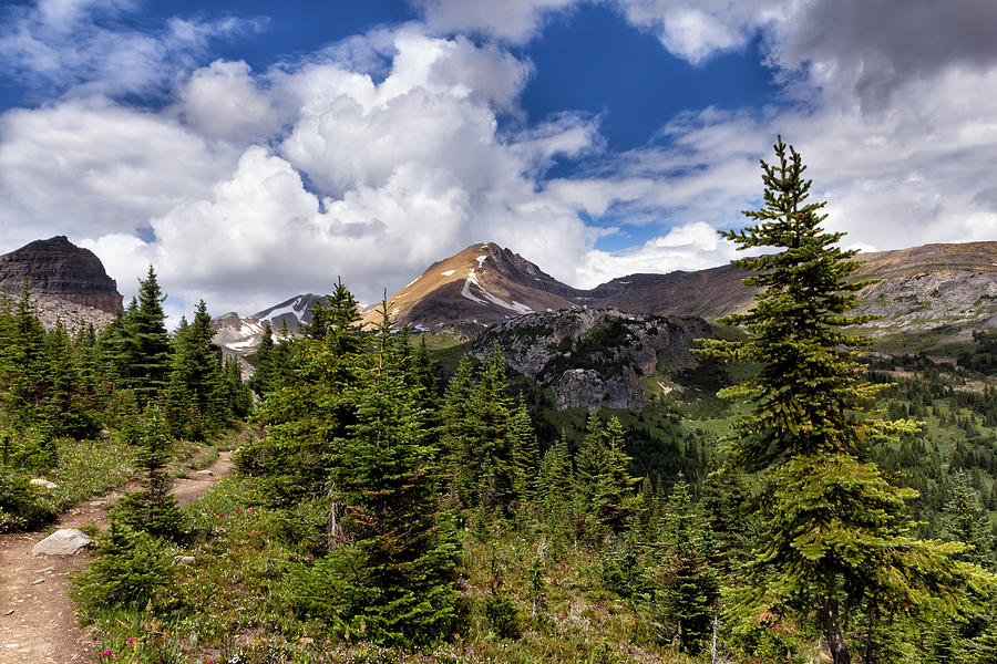 Solitary Ramble Photograph by Kathleen Bishop - Fine Art America