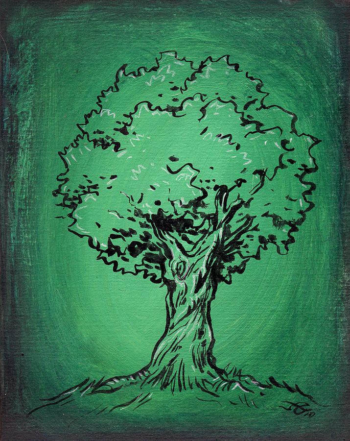 Solitary Tree in Green Drawing by John Ashton Golden