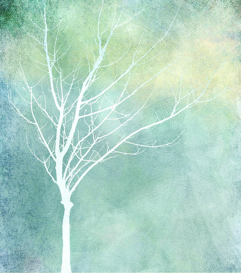 Solitary Winter Tree  Digital Art by Ann Powell