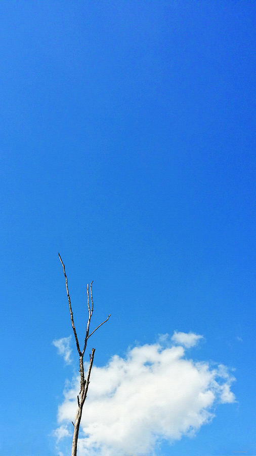 Tree Painting - Solitude - Blue Sky Art By Sharon Cummings by Sharon Cummings