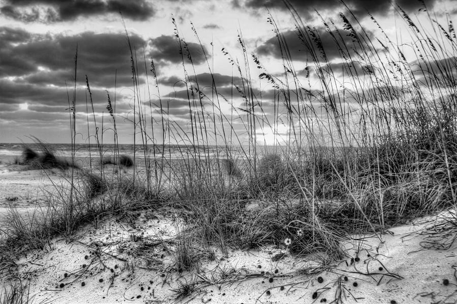 Solitude Photograph by Gary Yost | Fine Art America