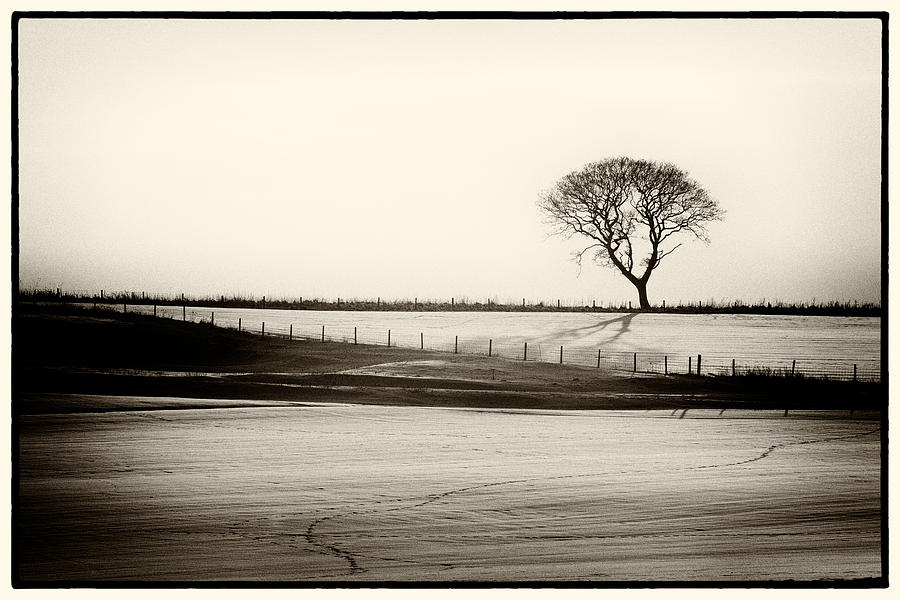 Solitude Photograph by Mark Egerton