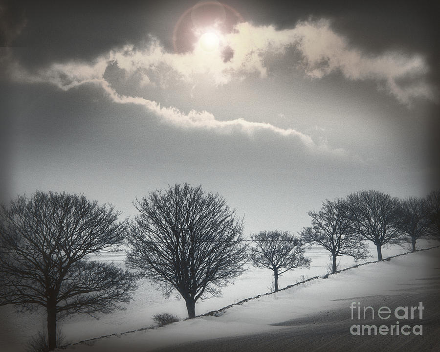 Solitude of Coldness Photograph by Edmund Nagele FRPS
