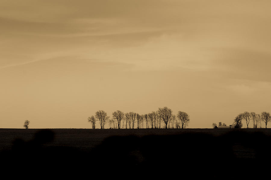 Solitude of the Prairie Photograph by Virginia Folkman