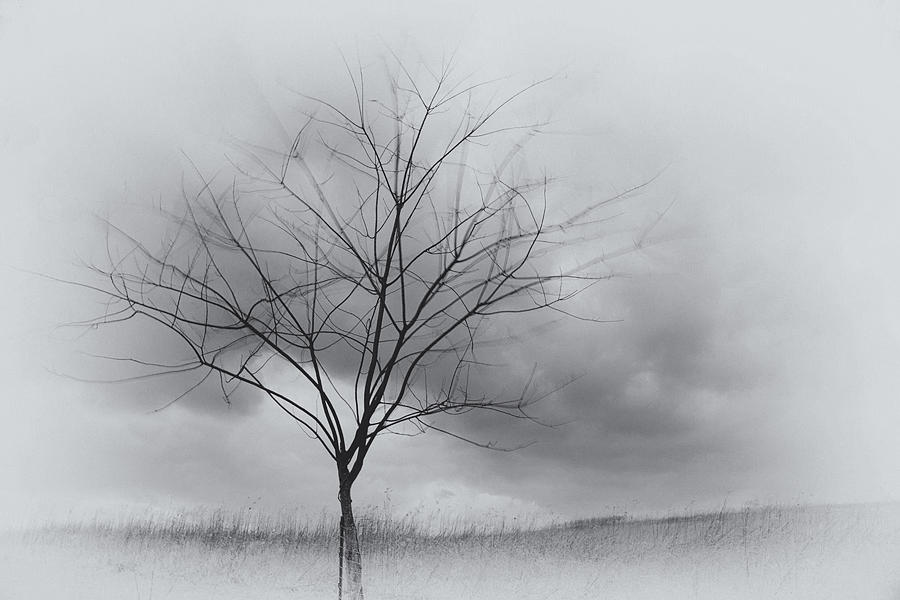 Landscape Photograph - Solitude by Rich McPeek