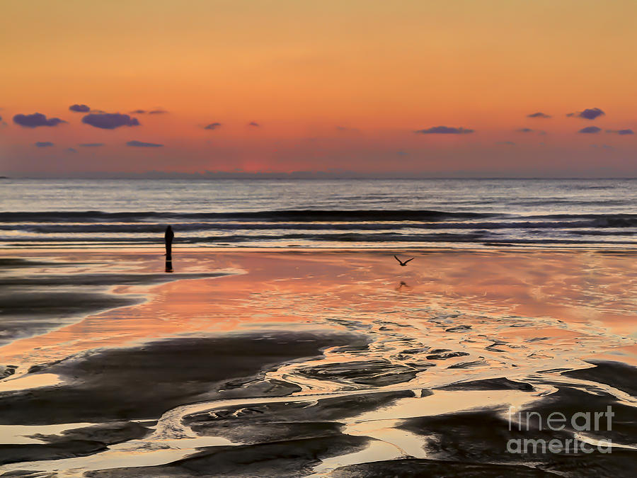 Lonely Photograph - Solitudes Color Pallet by Brenda Giasson