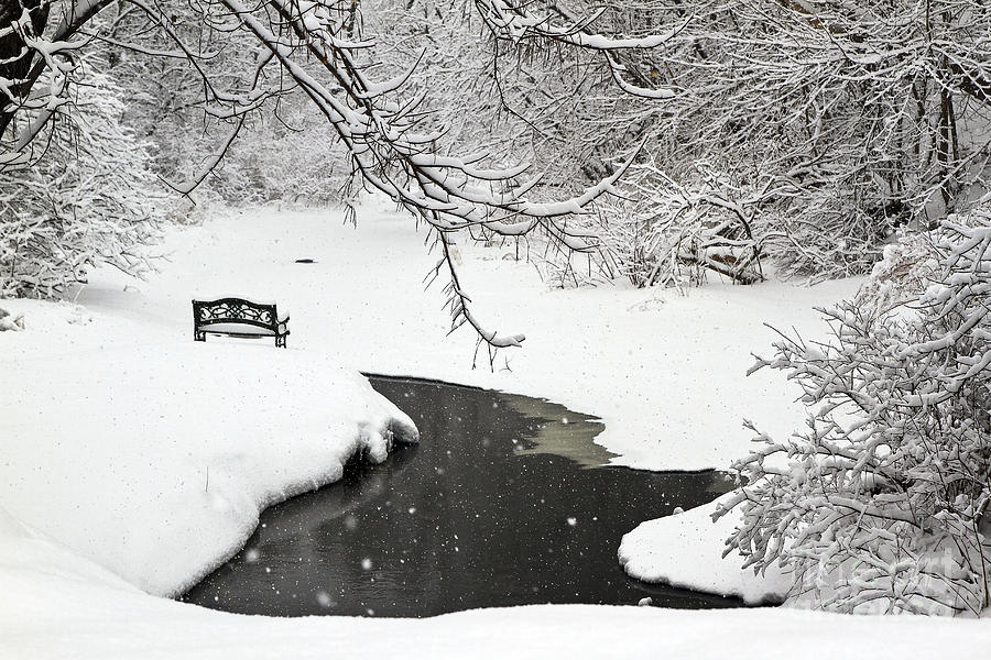 Solitudes Fresh Snow Photograph by Brenda Giasson