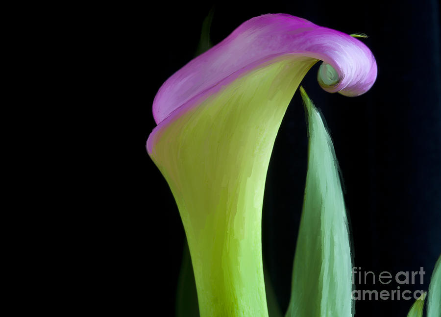 Flowers Still Life Painting - Solo Digital Painting by Michelle Constantine