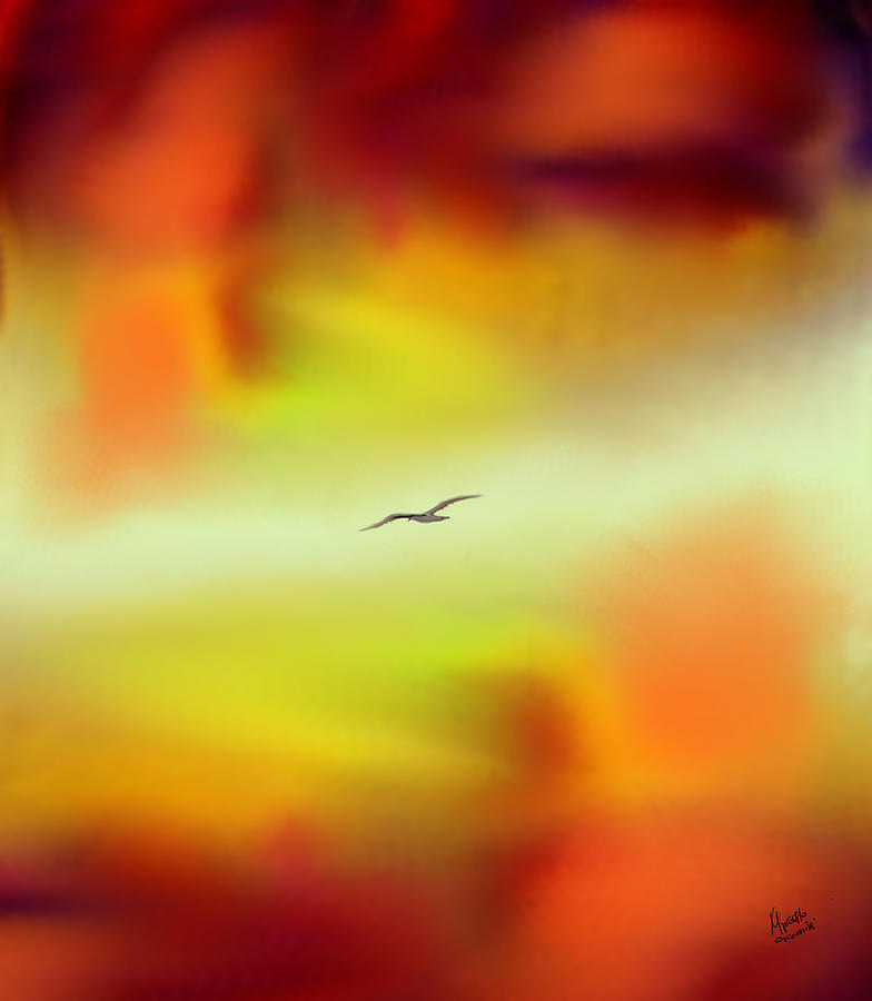 Seagull Digital Art - Solo flight by Marcello Cicchini