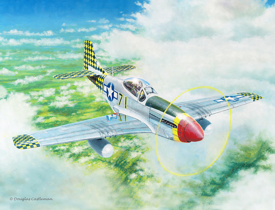 Solo P-51D Checkertail Painting by Douglas Castleman | Fine Art America