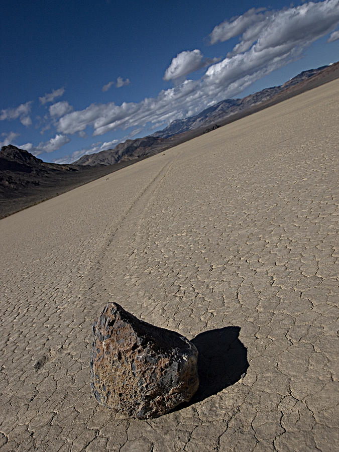 Desert Photograph - Solo Slider by Joe Schofield