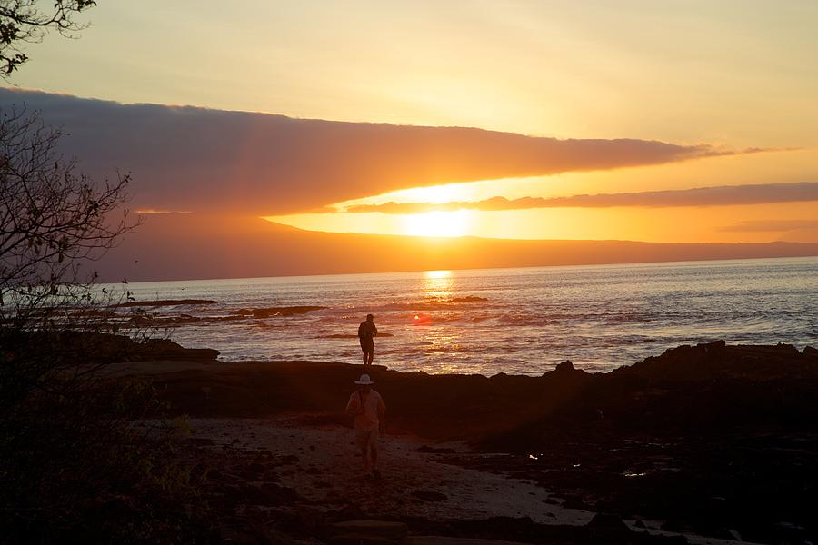 Solo Sunset Photograph by Allan Morrison