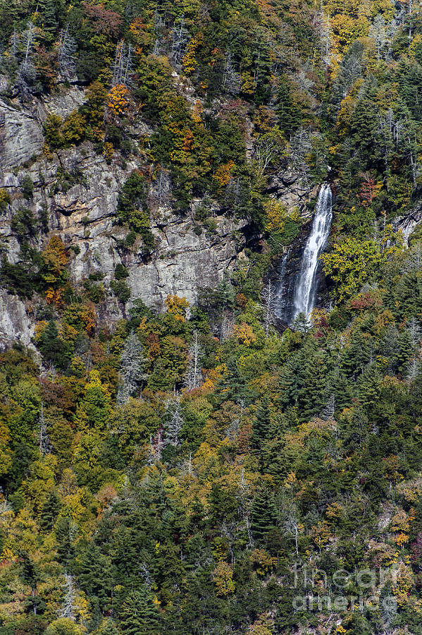 Sols Creek Falls Waterfall above Bear Creek Lake in Nantahala National Forest Photograph by David Oppenheimer