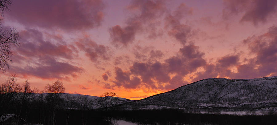 Solstice Noon in the Arctic Photograph by Pekka Sammallahti